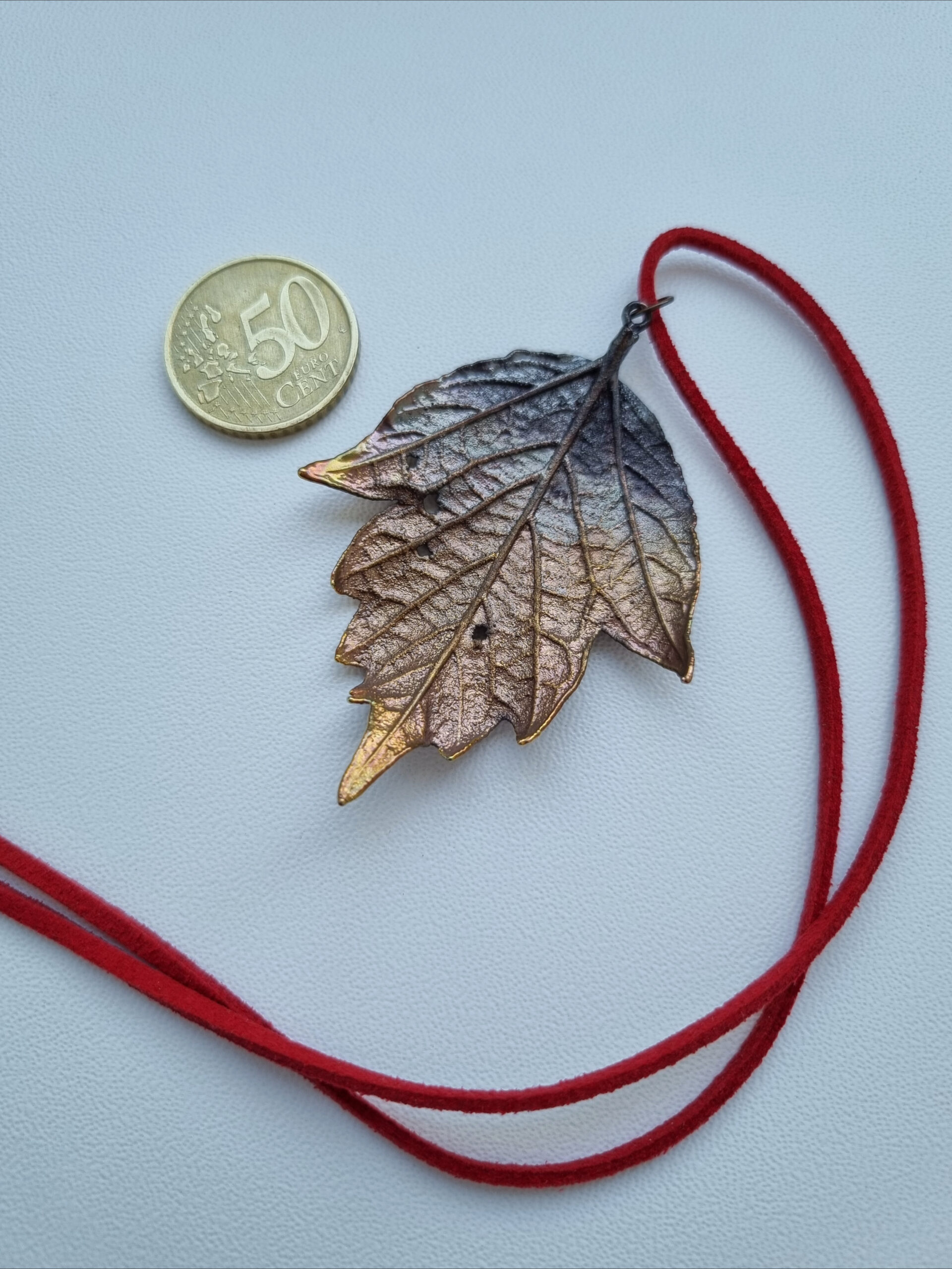 Kaklarota “Ošlapu kļava” - Image 6