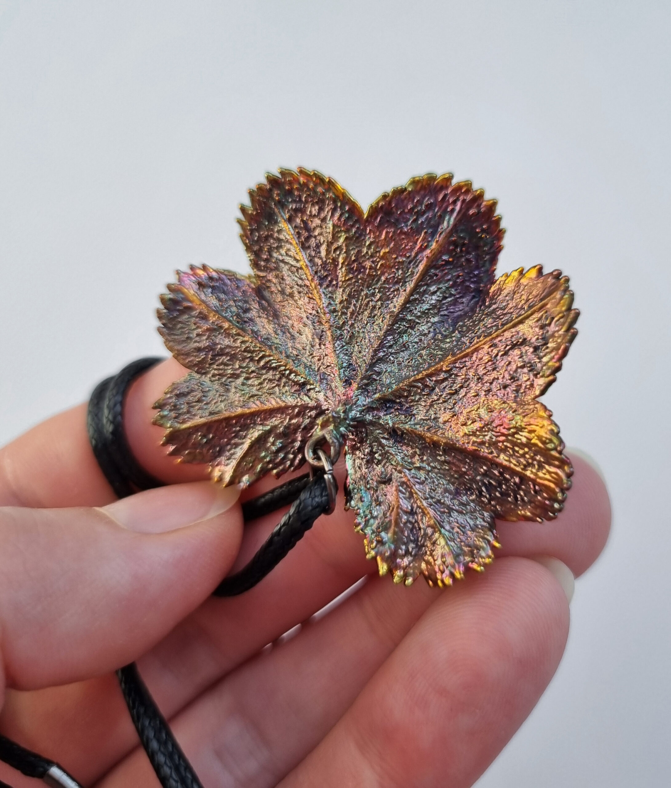Kaklarota “Raskrēsliņš” - Image 13