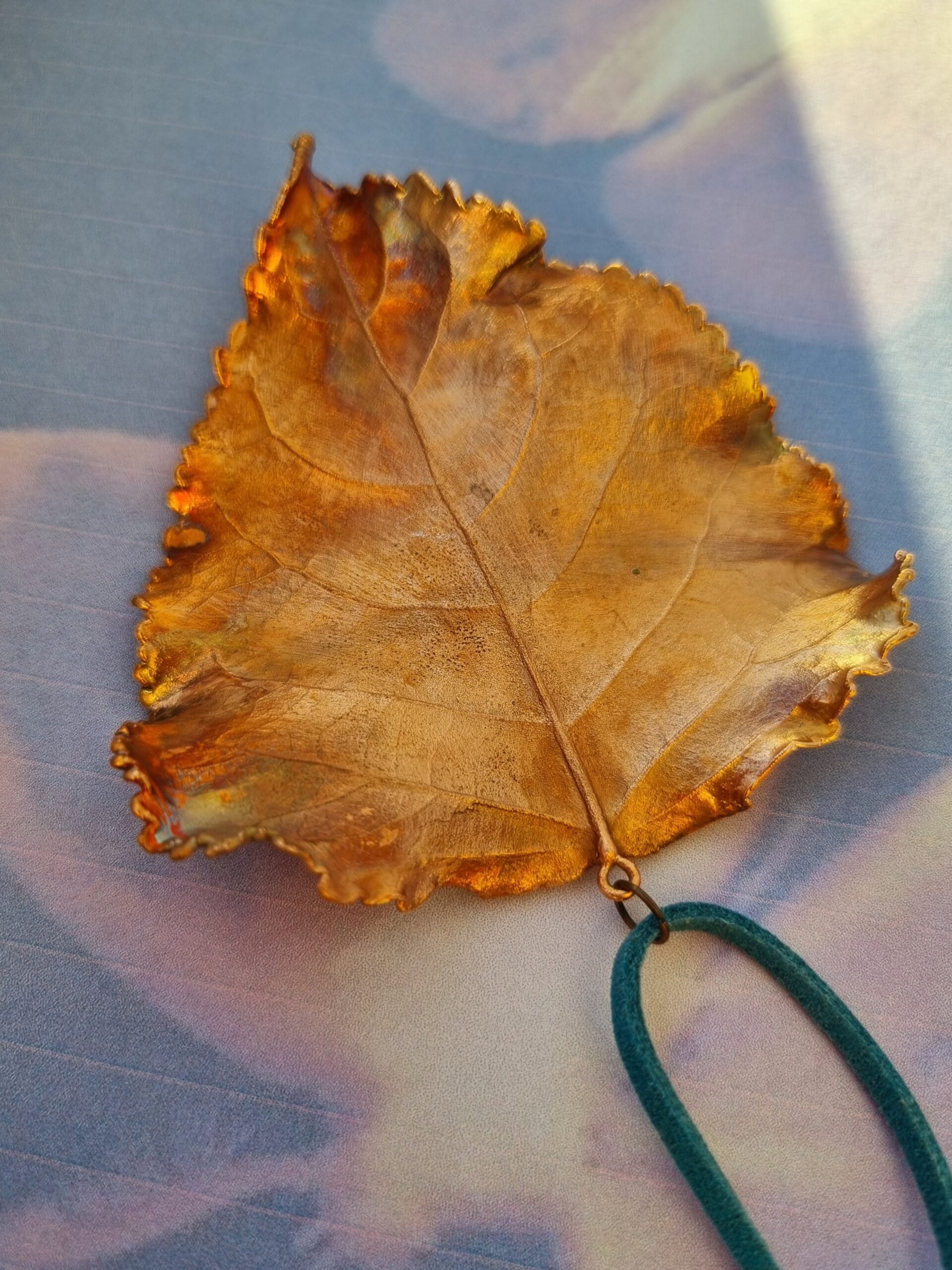 Kaklarota “Papele” - Image 16