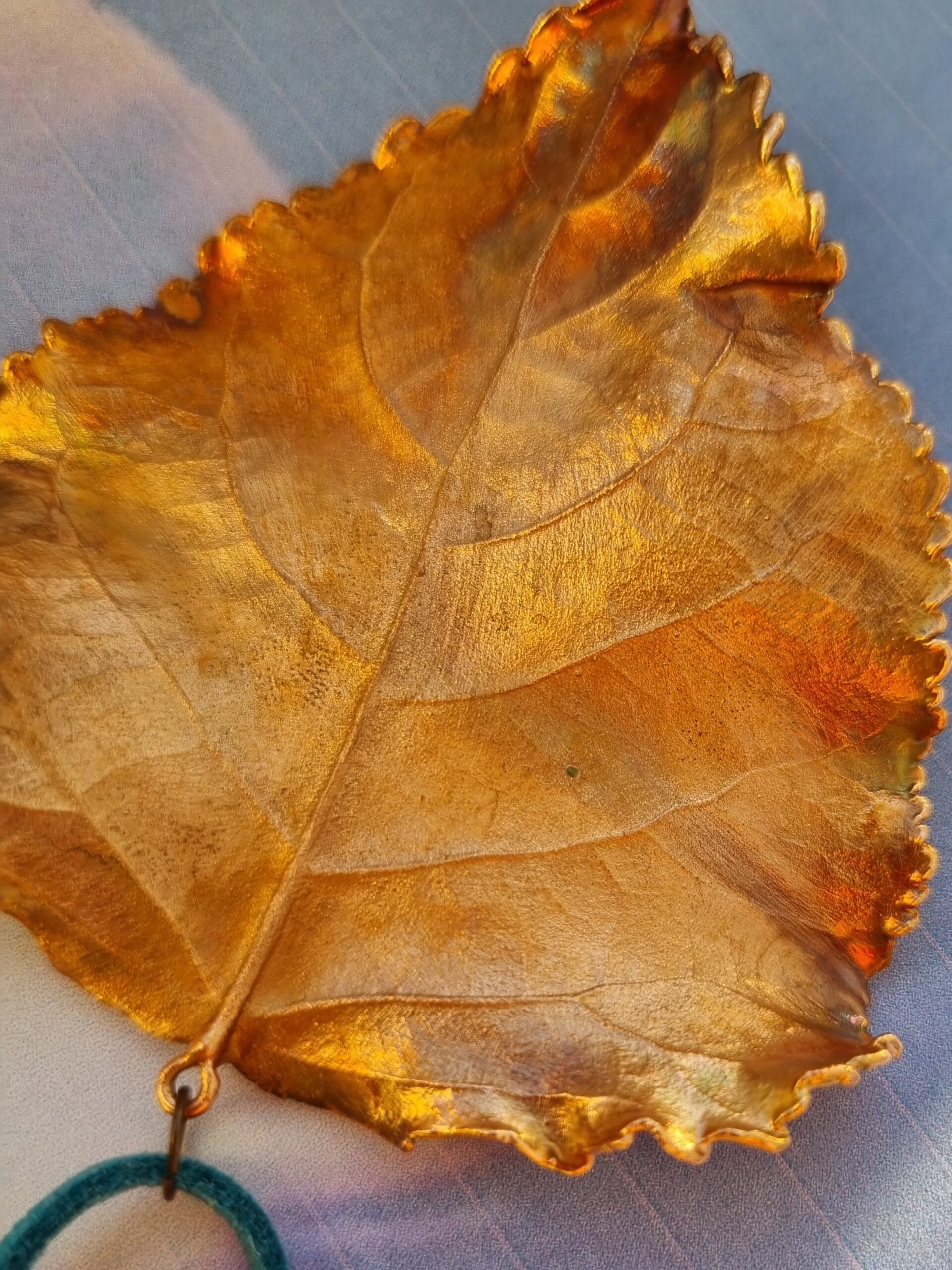 Kaklarota “Papele” - Image 14