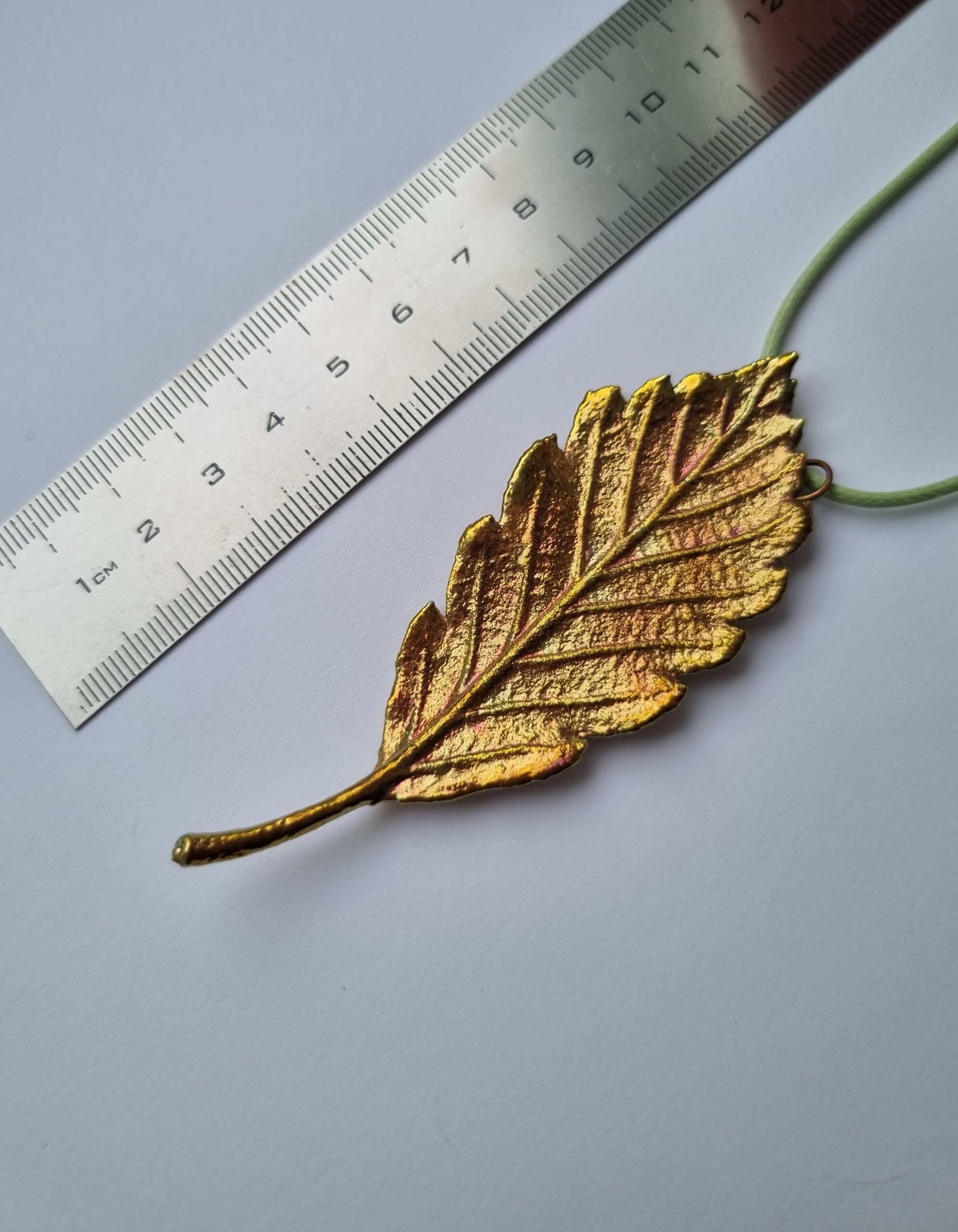 Pīlādža lapas rota - Image 7