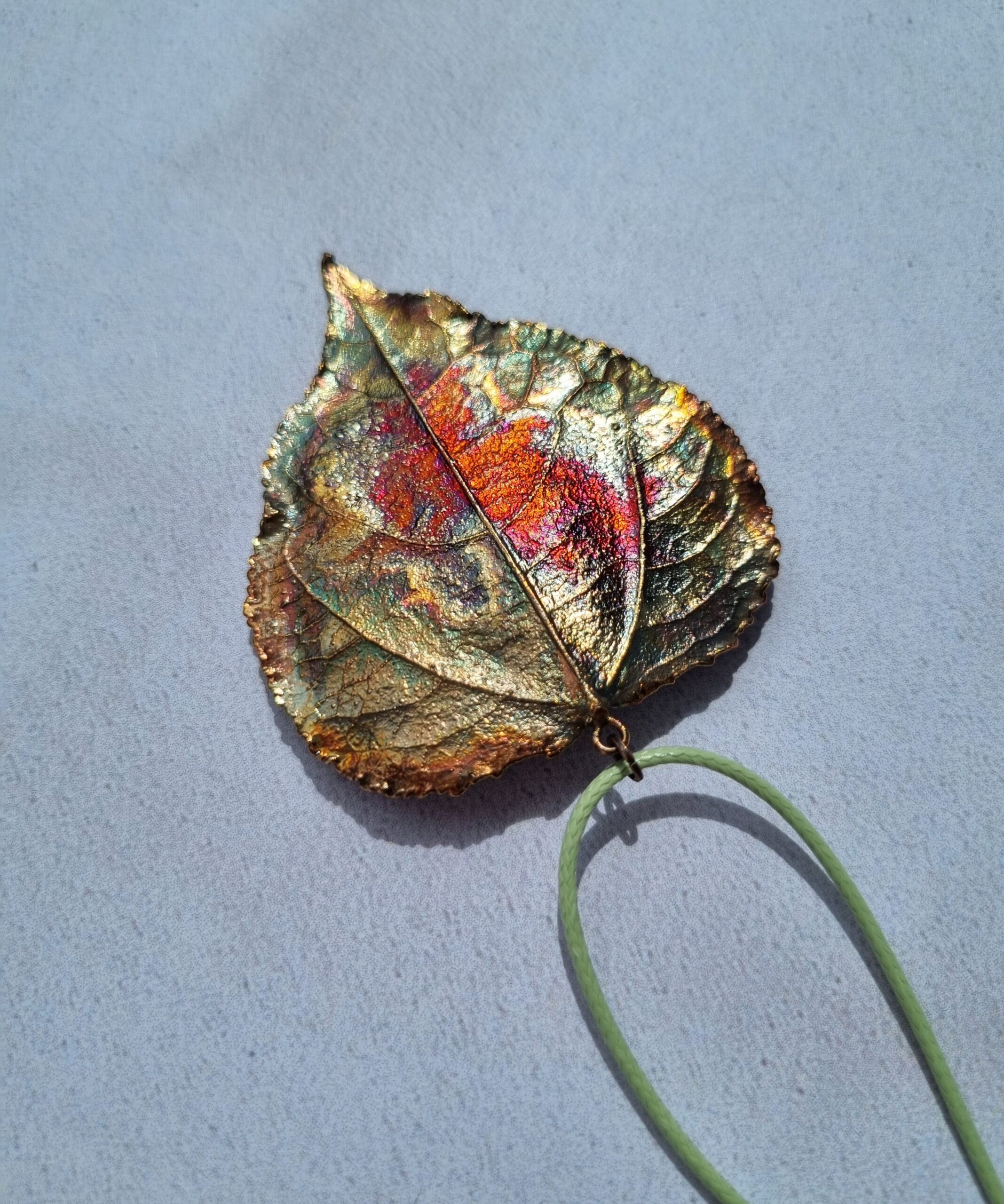 Papeles lapa - Image 4