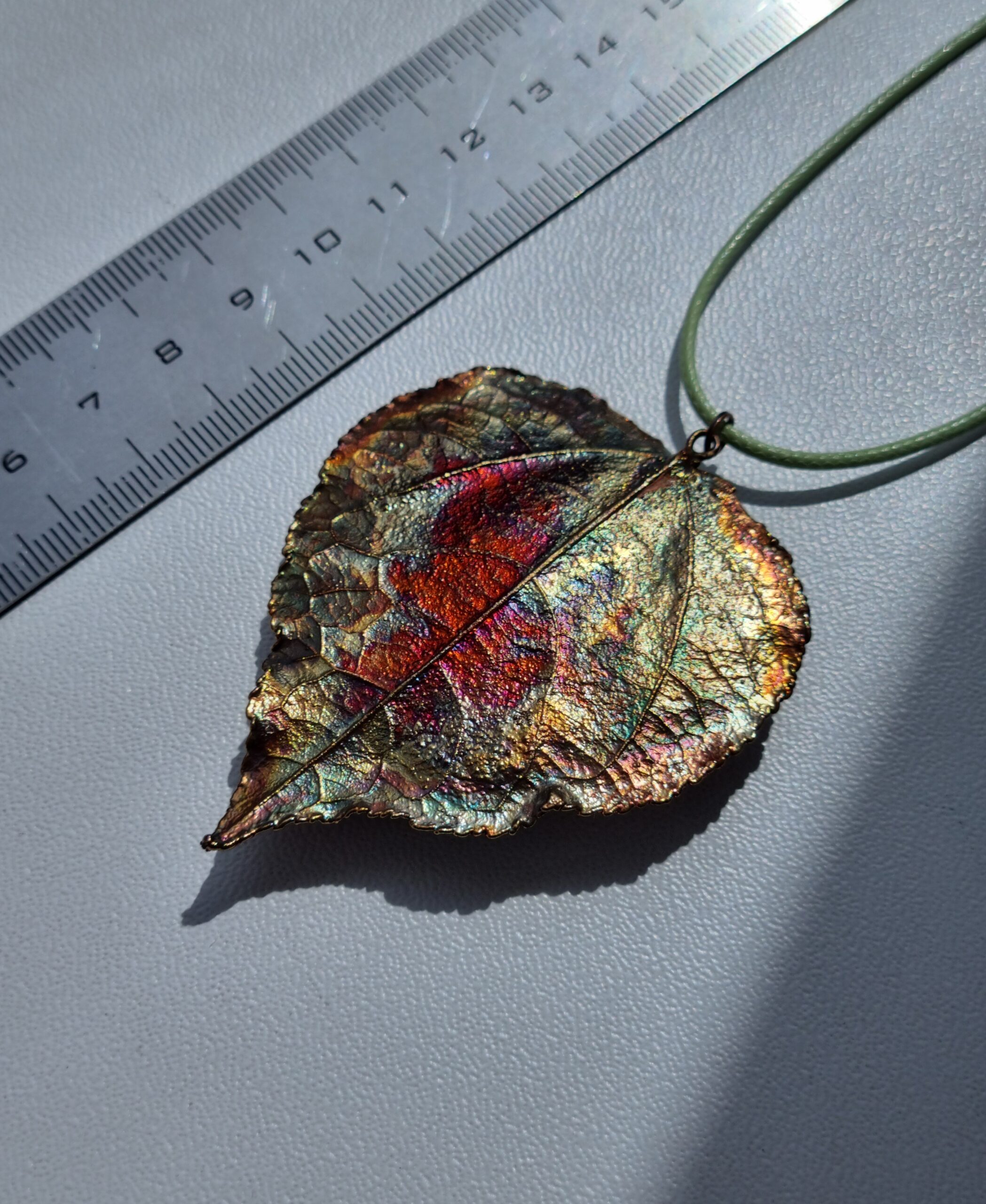 Papeles lapa - Image 5
