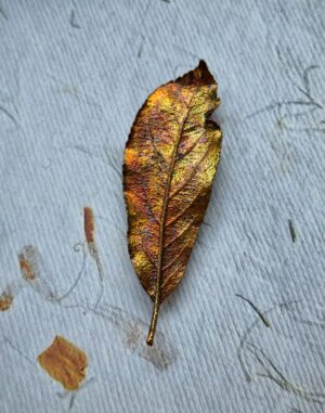 Broša «Rudens ābele»